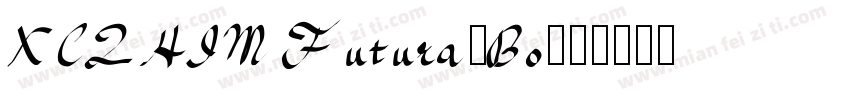 XCZHIM Futura-Bo字体转换